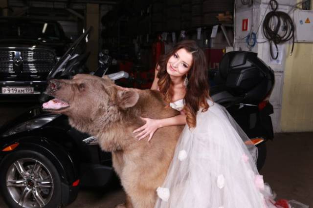 Russian Model Posing With A Huge Brown Bear In A Photo Shoot