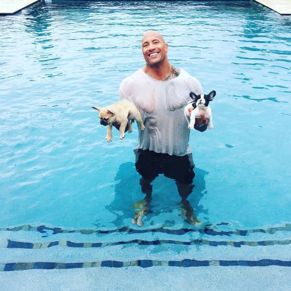 The Rock Can Do All This Stuff That None Of Us Can