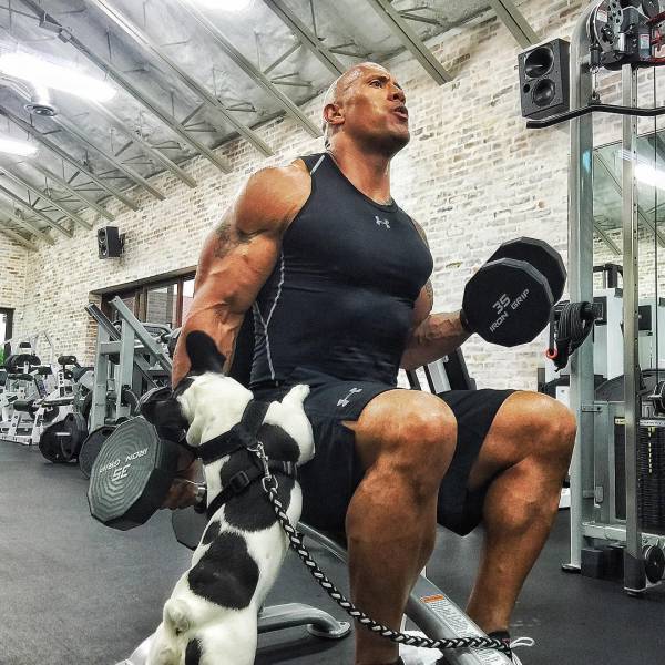The Rock Can Do All This Stuff That None Of Us Can
