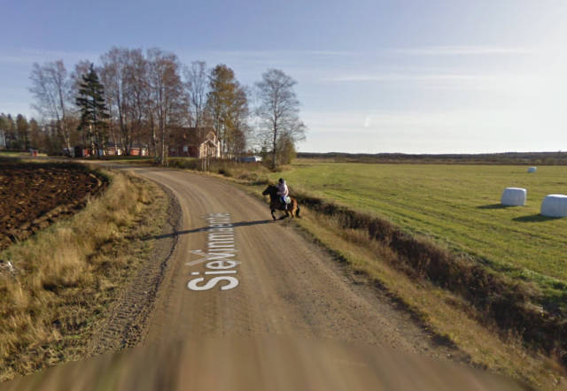What Happens When A Horse Meets A Google Street View Car