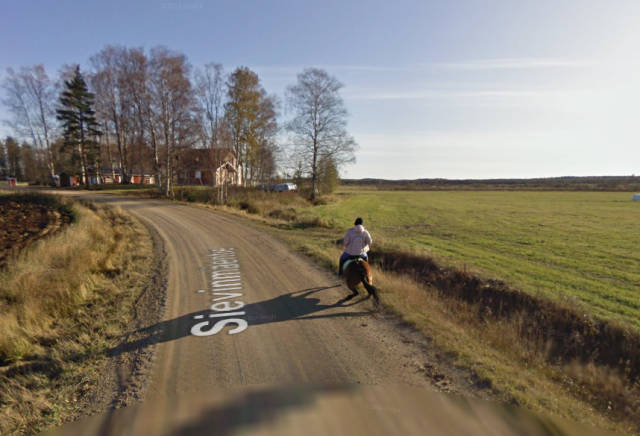 What Happens When A Horse Meets A Google Street View Car