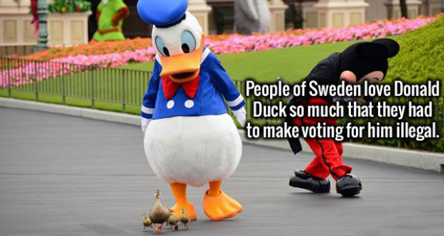 A Fun Selection of Random Facts That Will Improve Your General Knowledge