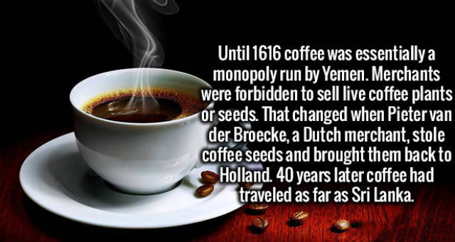 A Fun Selection of Random Facts That Will Improve Your General Knowledge