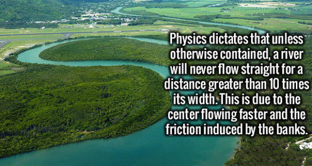 A Fun Selection of Random Facts That Will Improve Your General Knowledge