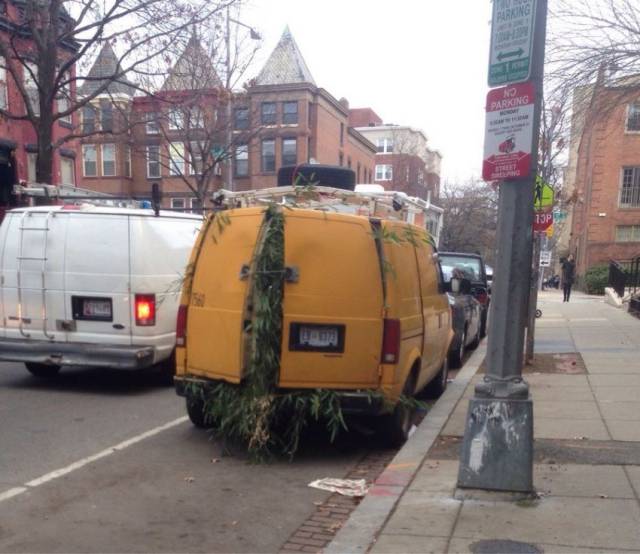 Daily Picdump Daily Picdump