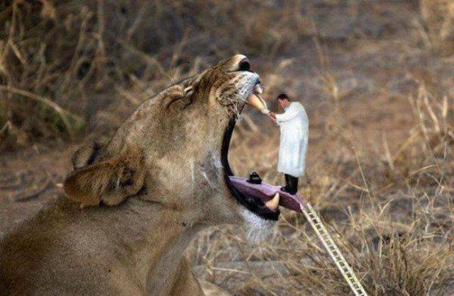 Daily Picdump Daily Picdump