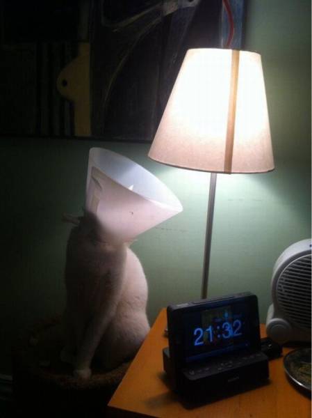 Daily Picdump Daily Picdump