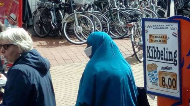 Daily Picdump Daily Picdump