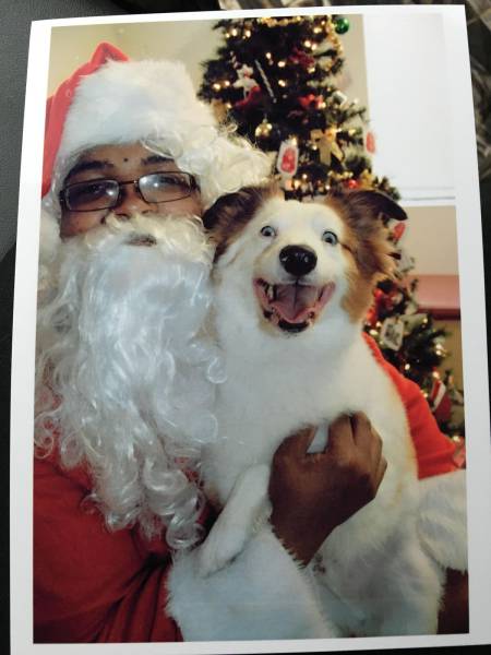 Daily Picdump Daily Picdump