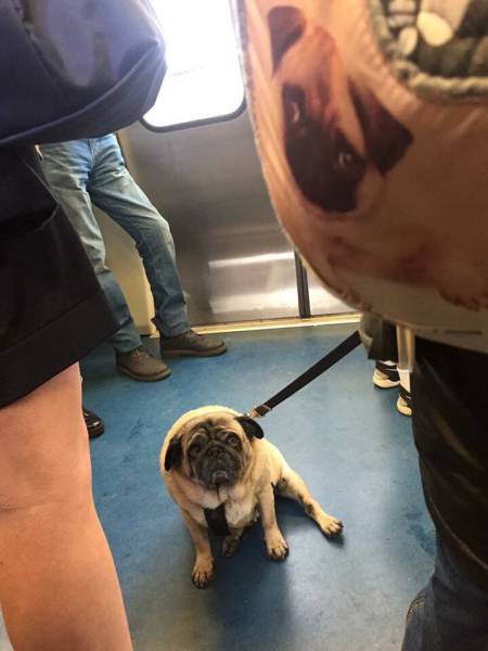 Daily Picdump Daily Picdump