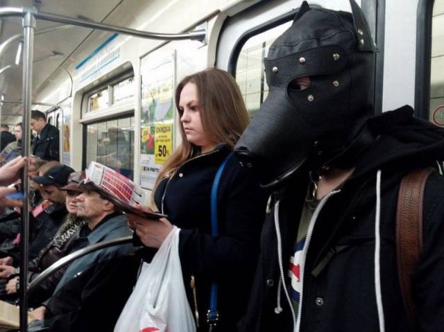 Daily Picdump Daily Picdump