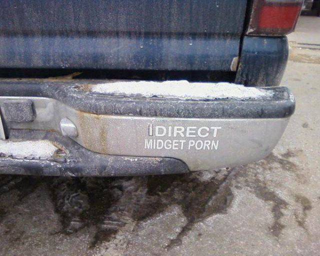 Daily Picdump Daily Picdump