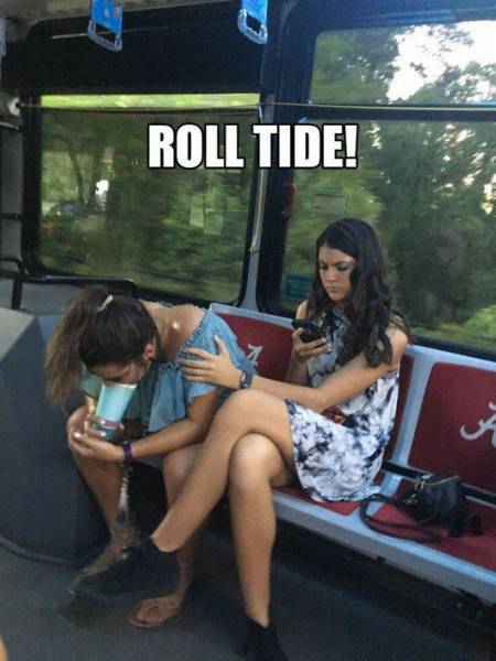 Daily Picdump Daily Picdump