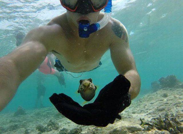 Daily Picdump Daily Picdump