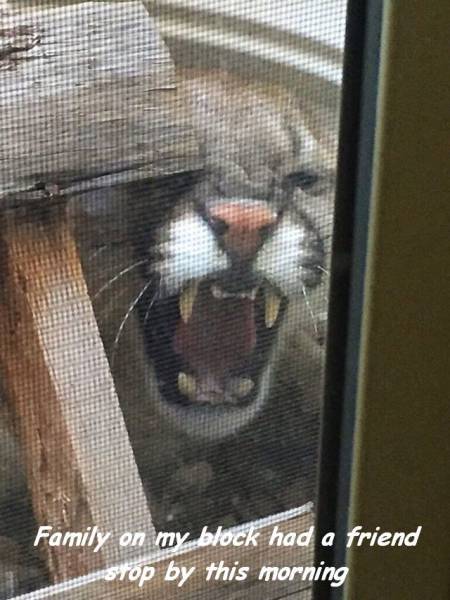 Daily Picdump Daily Picdump
