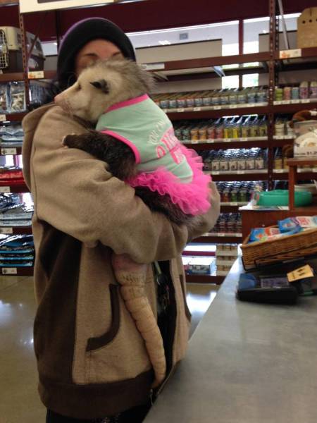 Daily Picdump Daily Picdump