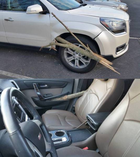 Daily Picdump Daily Picdump