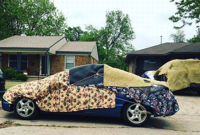 Daily Picdump Daily Picdump