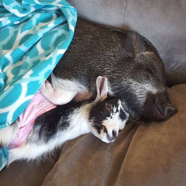 Daily Picdump Daily Picdump