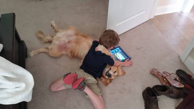 Daily Picdump Daily Picdump