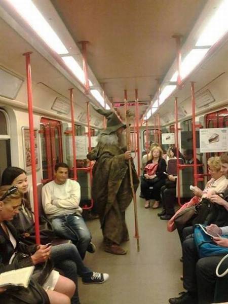 Daily Picdump Daily Picdump