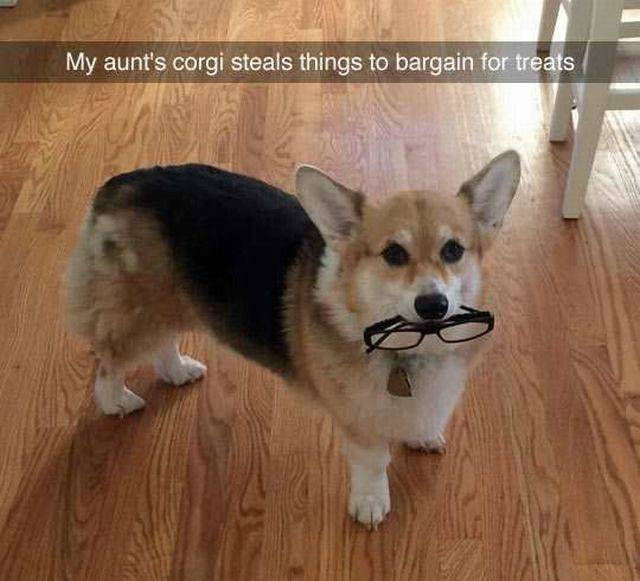 Daily Picdump Daily Picdump