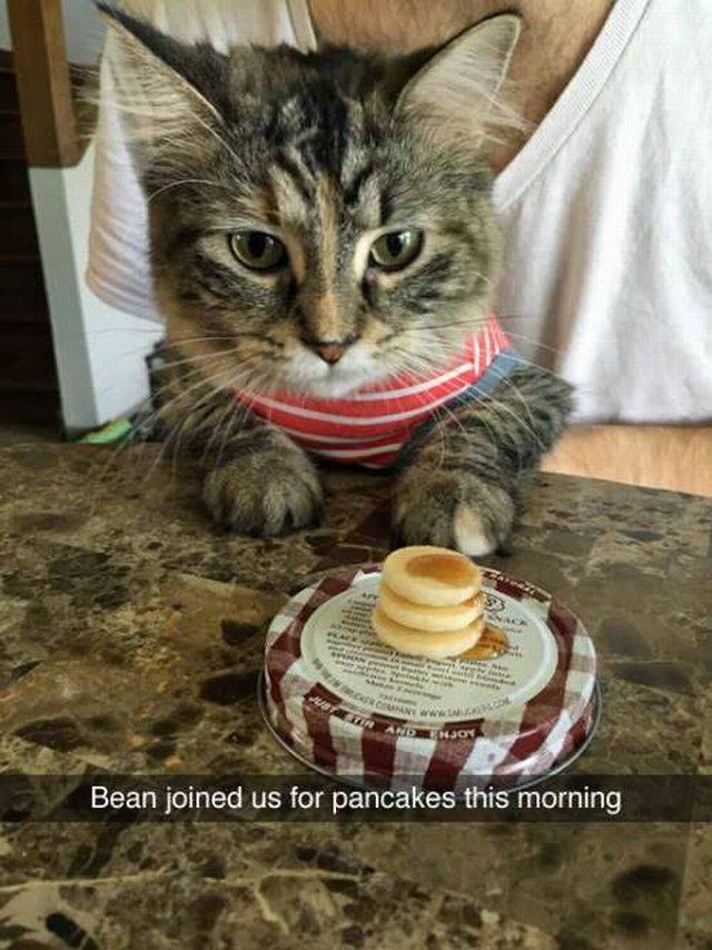 Daily Picdump Daily Picdump