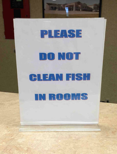 These Signs Are Proof That Humanity Is Getting Progressively Dumber
