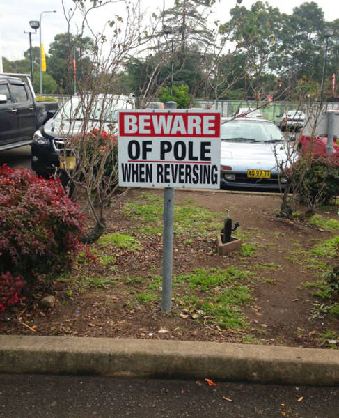 These Signs Are Proof That Humanity Is Getting Progressively Dumber These Signs Are Proof That Humanity Is Getting Progressively Dumber