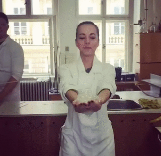 Daily Gifdump (30 gifs)