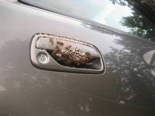 Daily Picdump Daily Picdump