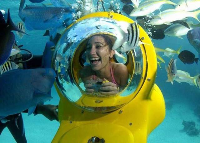 Daily Picdump Daily Picdump