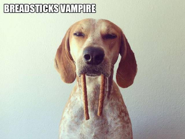 Daily Picdump Daily Picdump
