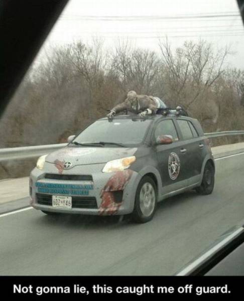 Daily Picdump Daily Picdump