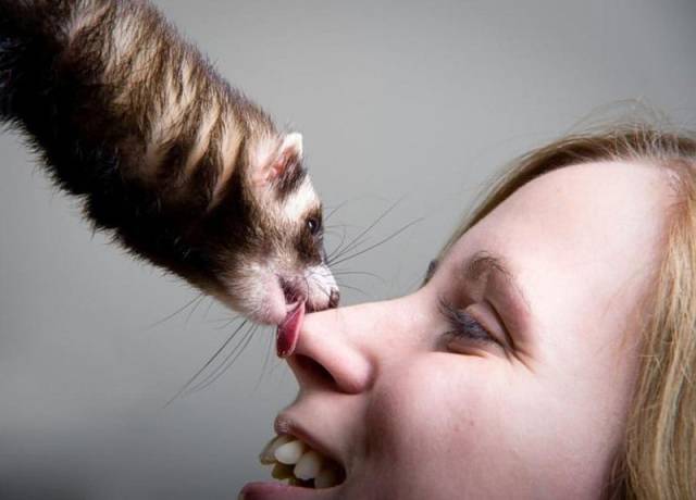 Daily Picdump Daily Picdump