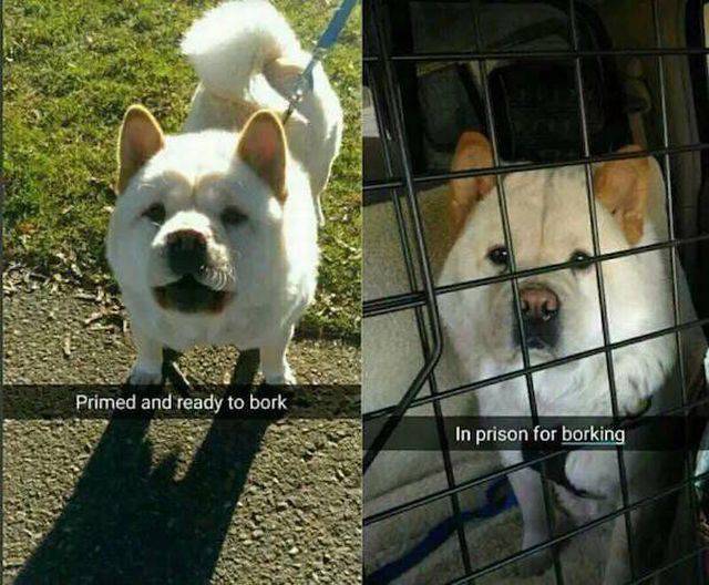 Daily Picdump Daily Picdump