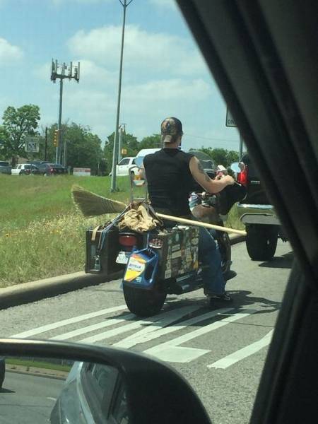 Daily Picdump Daily Picdump