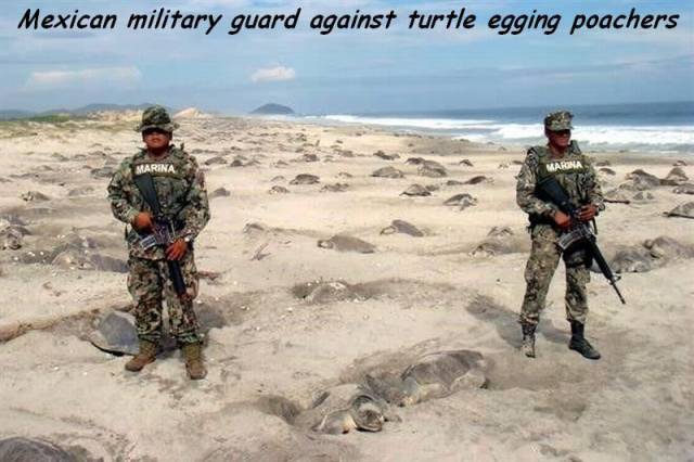 Daily Picdump Daily Picdump