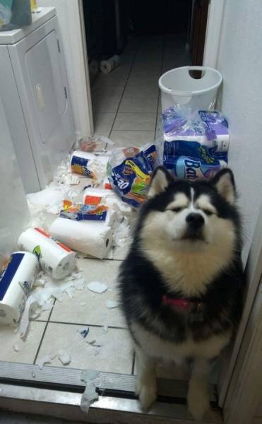 Daily Picdump Daily Picdump