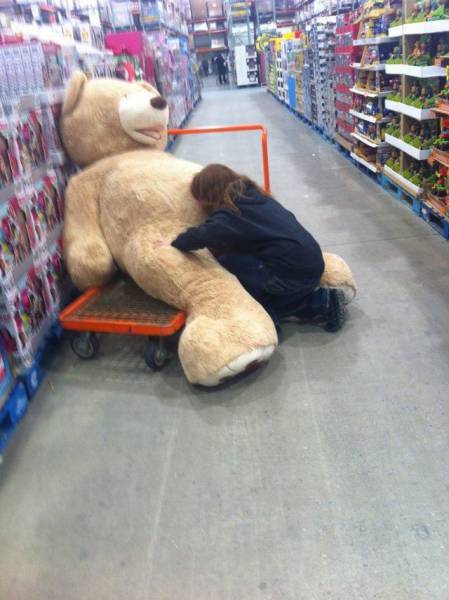 Daily Picdump Daily Picdump