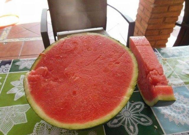 Daily Picdump Daily Picdump