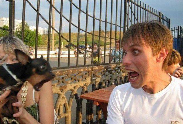 Daily Picdump Daily Picdump