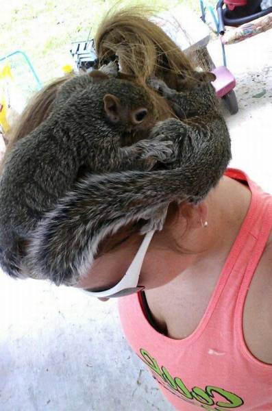 Daily Picdump Daily Picdump