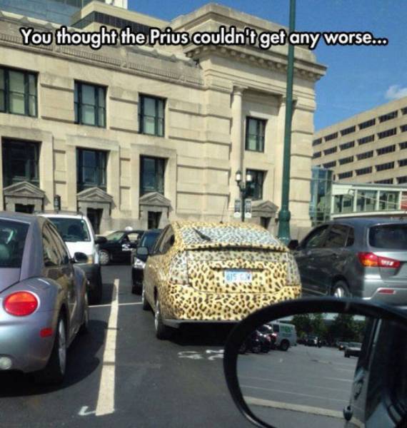 Daily Picdump Daily Picdump
