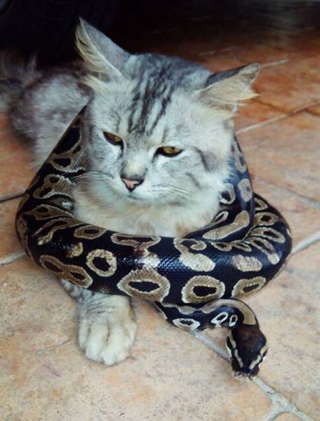 Daily Picdump Daily Picdump