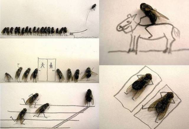 Daily Picdump Daily Picdump