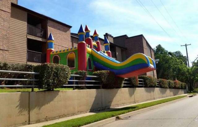 Daily Picdump Daily Picdump