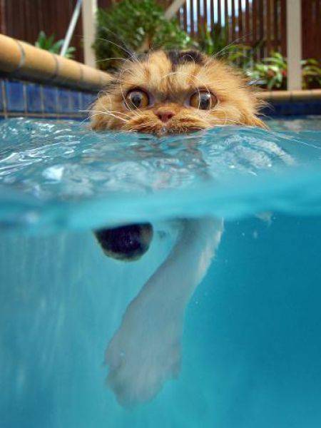 Daily Picdump Daily Picdump