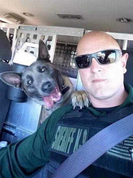 Daily Picdump Daily Picdump