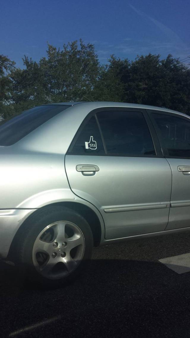 Daily Picdump Daily Picdump